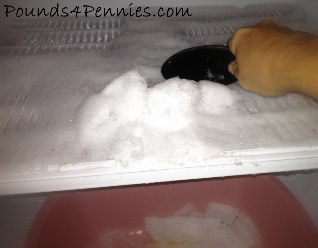 Scooping Ice from Freezer
