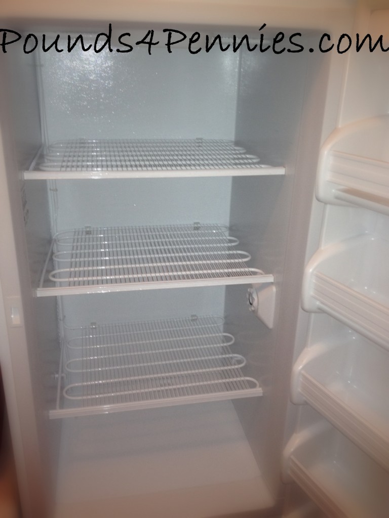 Cleaned Freezer