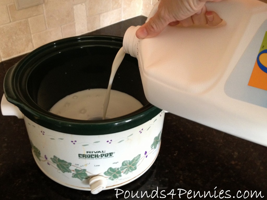 How to Make Yogurt pouring milk