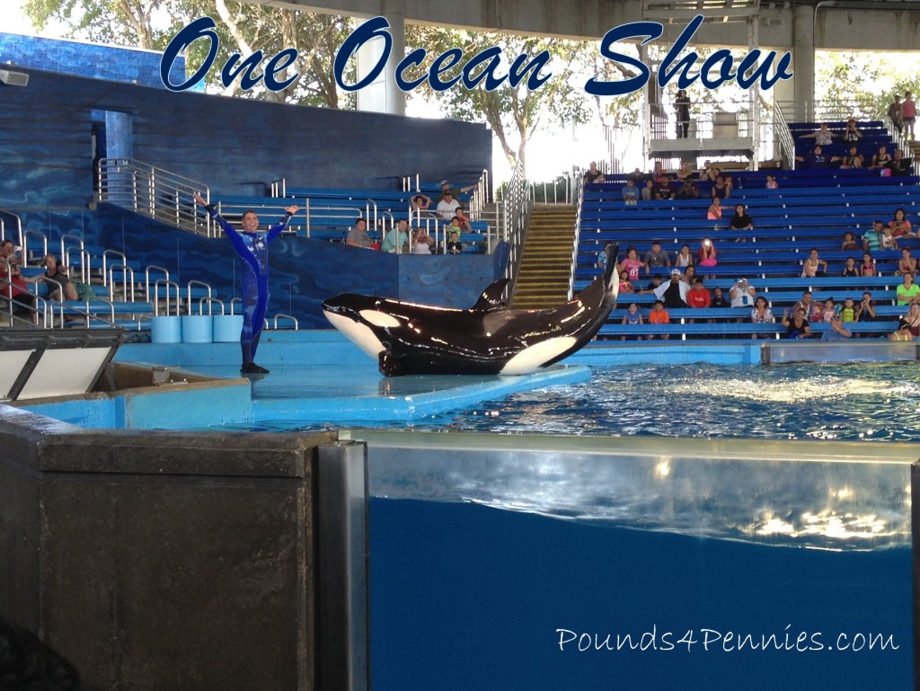 One Ocean Shamu Show